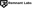 Remnant_Logo_A_Black.png