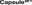 CapsuleLogo_wordmark_black-01.png