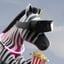 VRZebra.png