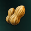 Thetanuts Finance - Nuts Icon - PNG.png