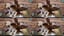 optician_2x2.jpg